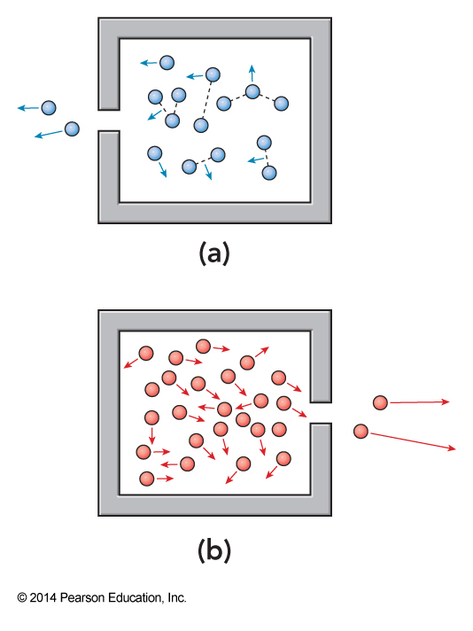 When attractive forces dominate, gases leaving the system will have less kinetic energy than those in the system. When attractive forces are insignificant, gases leaving the system will have more kinetic energy than those in the system.